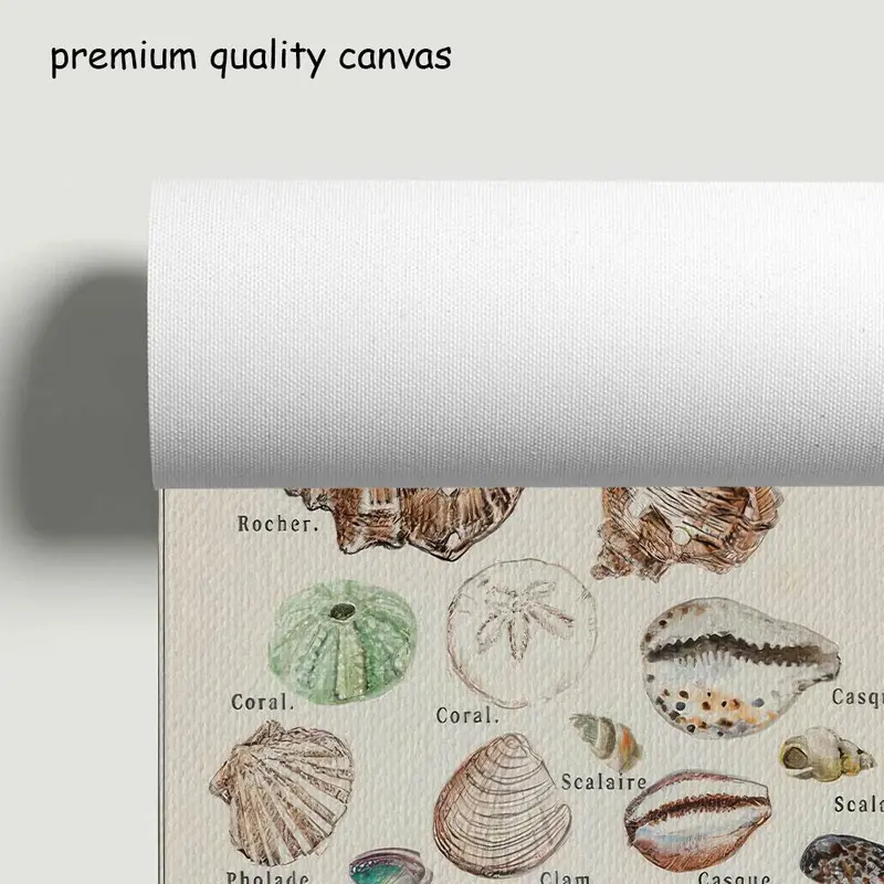 Sea Shell Pattern Unframed Painting, 1 Count Modern Fashion Style Wall Art, Wall Decor for Home Living Room Bedroom Office School 4