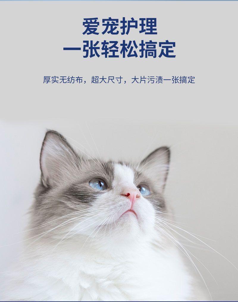 Product Introduction of Khăn lau thú cưng, dày, đa năng, kháng khuẩn, không rửa tai, thích hợp để rửa mắt, khử trùng và làm sạch, thích hợp cho chó và mèo, tất cả các sản phẩm, ra mắt vào năm 2024 0