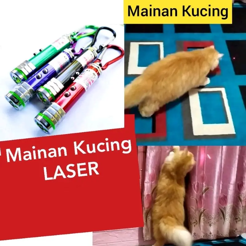 Laser mainan kucing