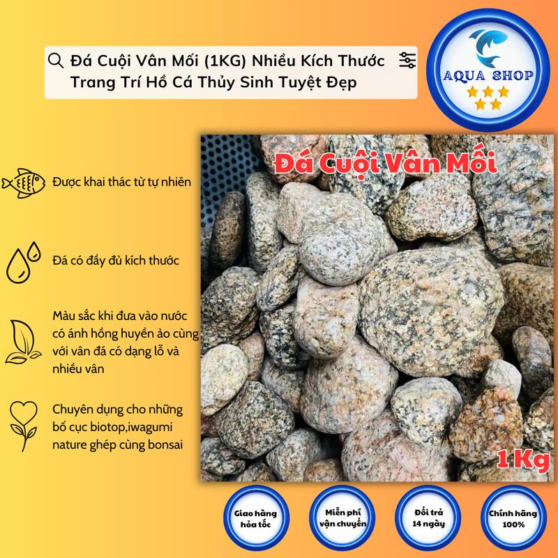 Đá Cuội Vân Mối (1KG) Setup Bể Thuỷ Sinh,Tiểu Cảnh Bán Cạn, Trang Trí Bể Cá Cảnh