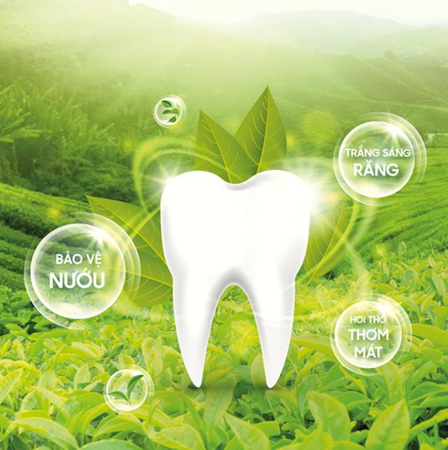 KEM ĐÁNH RĂNG TRÀ TRẮNG ĐA NĂNG GLISTER (tuýp) 2