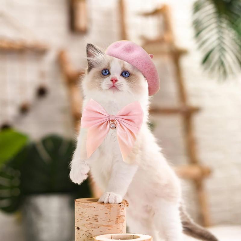Pet Cat Dog Hat and Bow Collar Cute Soft Beret Adjustable Bow Collar Kitten Puppy Hat Collar Set Pet Accessories 4