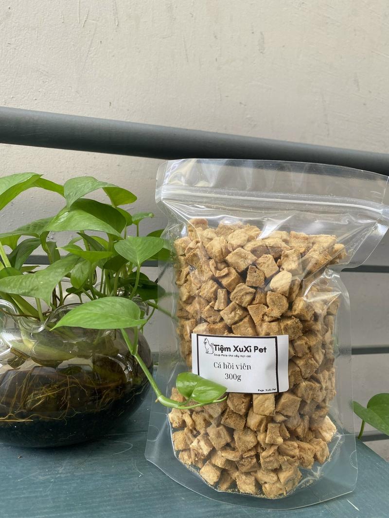 Product Introduction of [ 100g ] Thức ăn sấy viên các loại cho chó mèo siêu ngon loại 1 không vụn 2