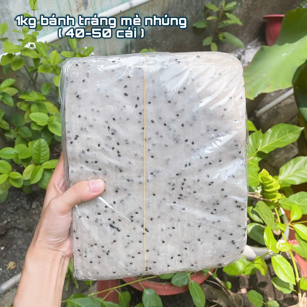 [Bịch 1kg] Bánh tráng mè đen đặc sản phan rang hàng loại 1 ,bánh tráng nhúng mè đen, bánh mè cuốn dẻo thơm nhiều mè
