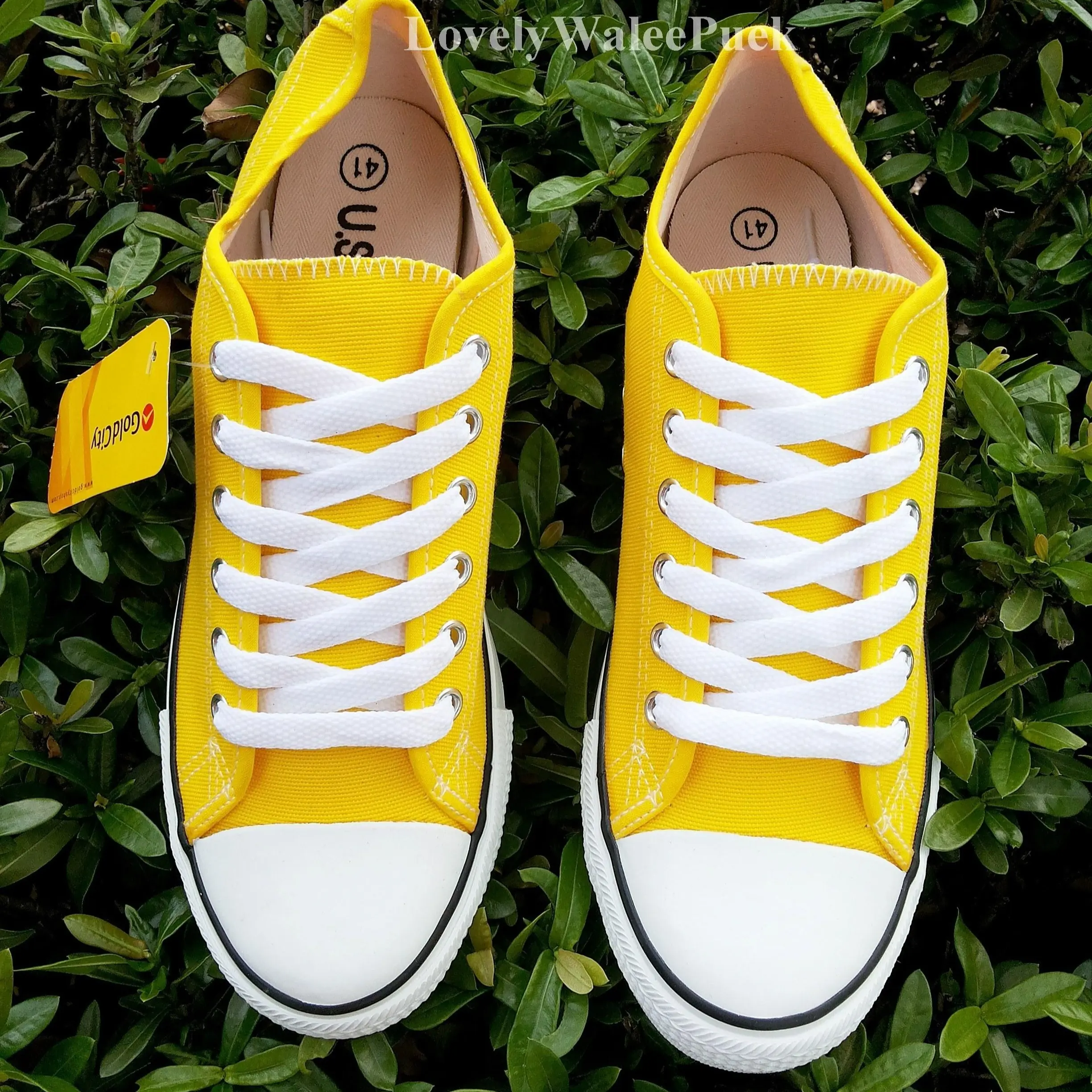 รองเท้าผ้าใบ Gold City-1207 สีเหลือง Size 35-45