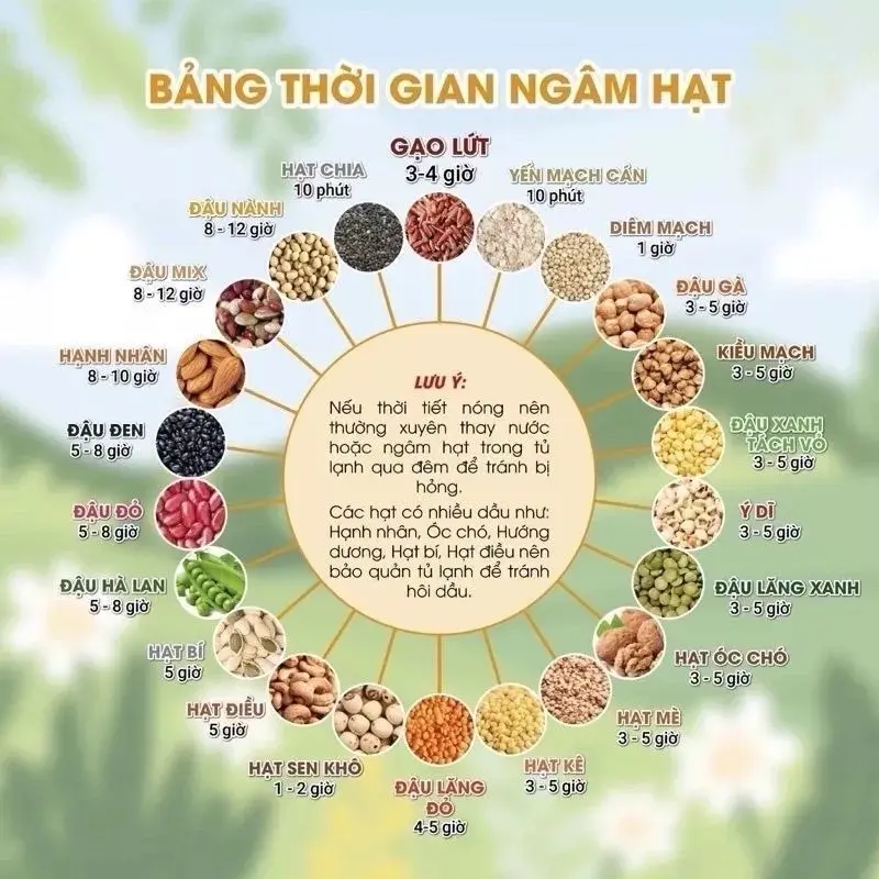 Sét 7 ngày làm sữa hạt 50g, hạt dinh dưỡng nấu sữa hạt 4