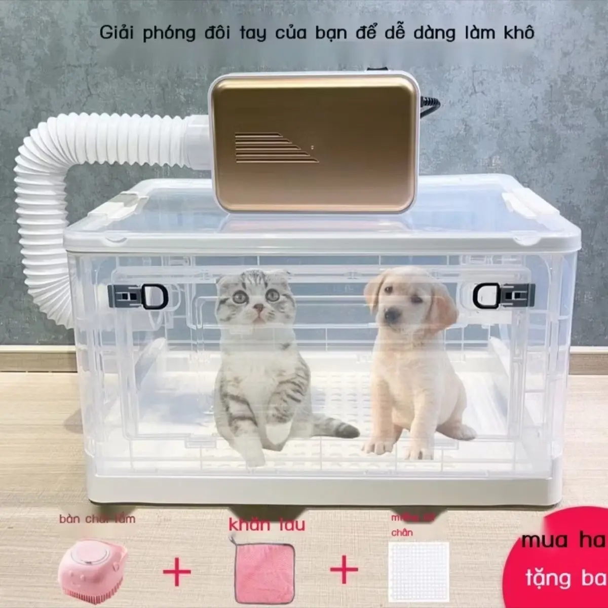 Hộp sấy thú cưng, hộp tắm và sấy khô cho mèo, máy thổi nước cho chó, máy sấy mèo, máy tông đơ cắt