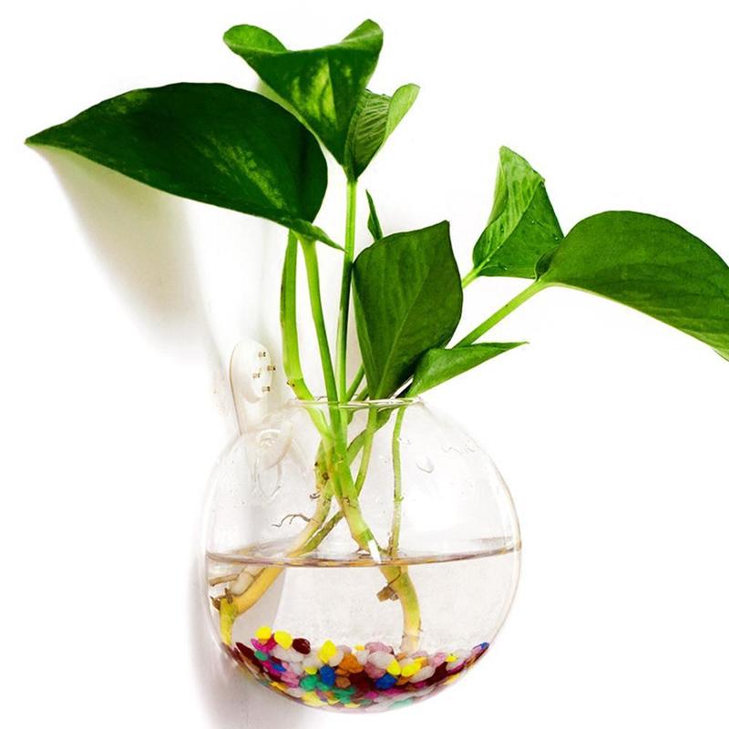 Bình Hoa Kính Treo Tường, Phong Cách Terrarium, Lò Xo Treo Tường, Chậu Cá, Thích Hợp Cho Bể Cá, Đồ Trang Trí Hoa, Trang Trí Nhà Cửa 8