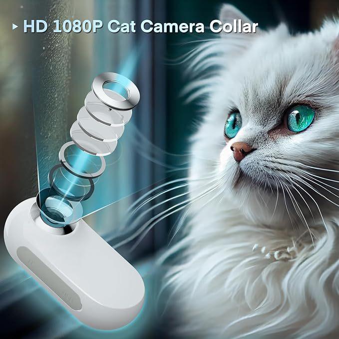 Product Introduction of Pet Supplies Cat and Dog Collar Cameras Outdoor Sports Cameras 16