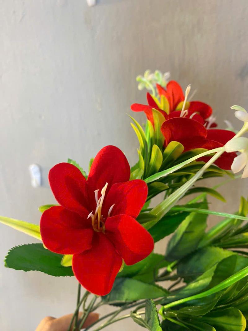 Product Introduction of Hoa Ngọc Lan ( Mua 4 Cành Tặng 1 Bình Nhựa Cứng ). 1 Cụm Gồm 7 Hoa, Lá, Điểm, Cao 47cm, Trang Trí Decor Xinh 3