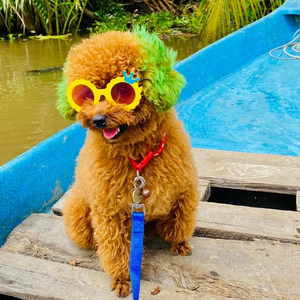 TẠP HOÁ LUCKY TAIXANH