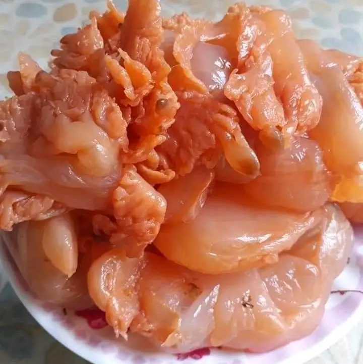 sứa muối quả sú vẹt rừng đặc sản thái bình