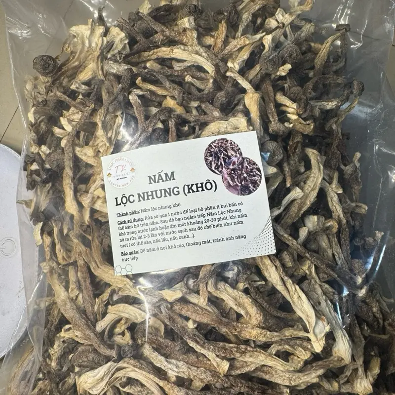 [500g+quà]Nấm lộc nhung nguyên cây loại 1 không gãy vụn tặng 100gr táo đỏ 4