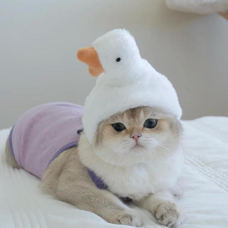 Product Introduction of Funny Pet Costumes: Starfish, Bream, Pig, Chicken, Bear, Panda Headbands for Cats & Dogs 7