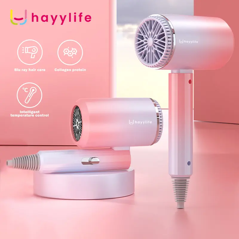 PAWPAW'S Pet Hairdryer - Hairdryer Mini Untuk Mengeringkan Bulu/Rambut Hewan Peliharaan Dengan Blueray HL-DBA595 2