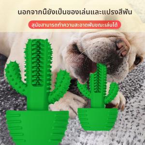 ของเล่นทำความสะอาดฟัน ฟันกรามสุนัขสัตว์เลี้ยง ขนาดกลางและขนาดใหญ่ เหมาะสำหรับตุ๊กตาสุนัข ป้องกันการกัด พร้อมจำลองเสียง เหมาะสำหรับลูกสุนัขและโกลเด้นรีทรีฟเวอร์