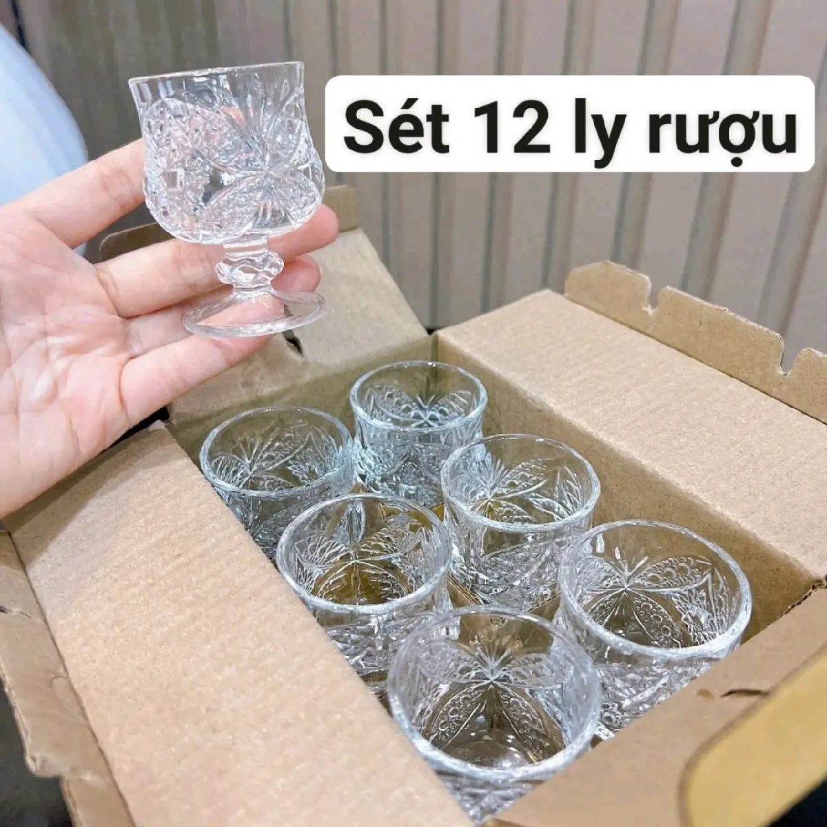 Sét 12 ly rượu thủy tinh trong suốt, dung tích 40ml