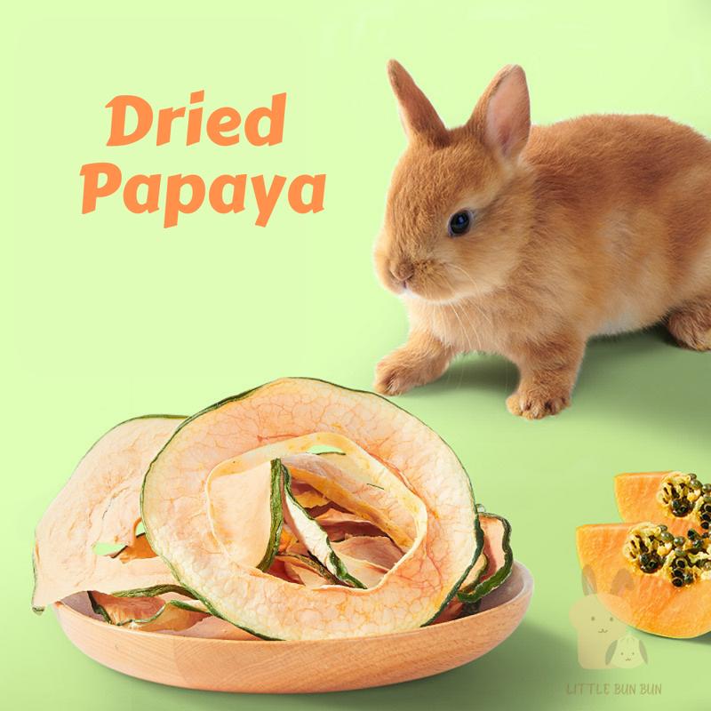 Dried Papaya (30g)rabbit guinea pig snack fruit natural trea - TikTok ... - Guinea Pig Meal Ideas With Papaya And Carrot