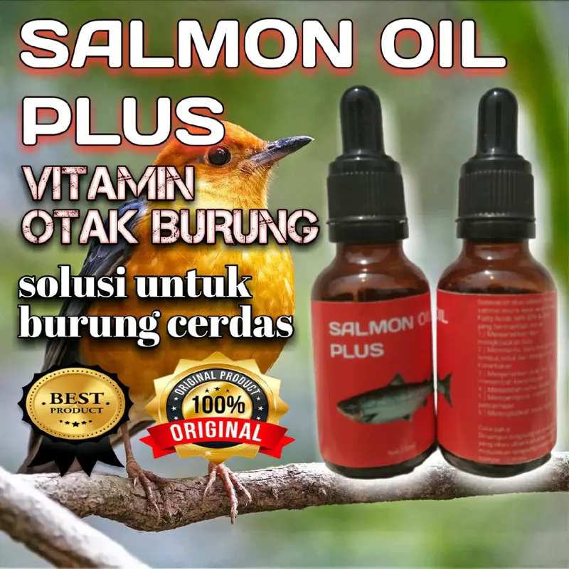 Penggacor Burung Minyak Ikan 1