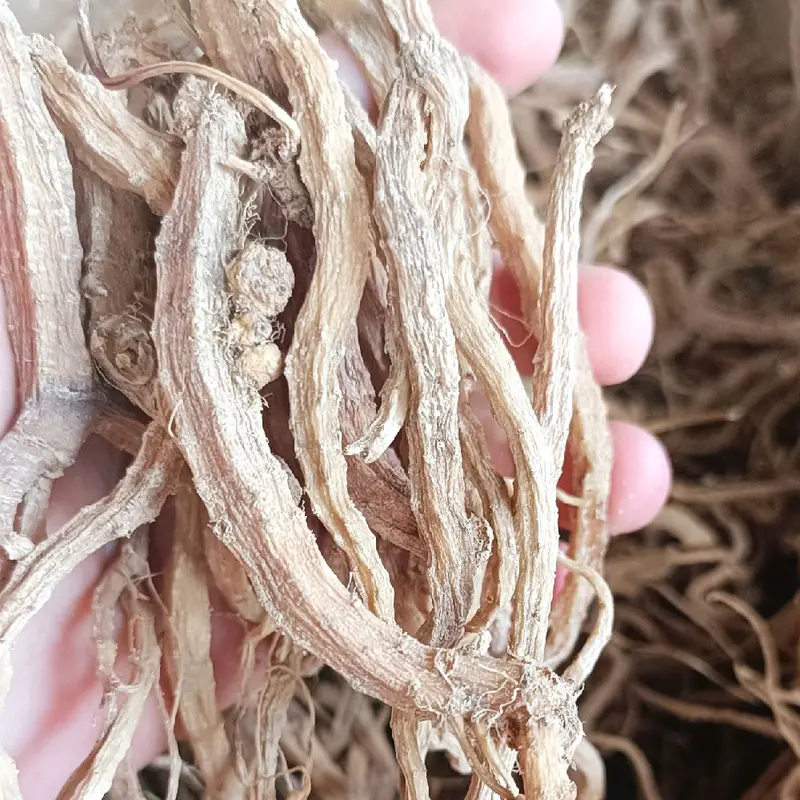 300Gram Sâm Dây Ngọc Linh Khô- Túi Zip. Nấu Nước - Pha Trà...Mùi Thơm,Vị Ngọt Nhẹ,Dễ Sử Dụng.. 1