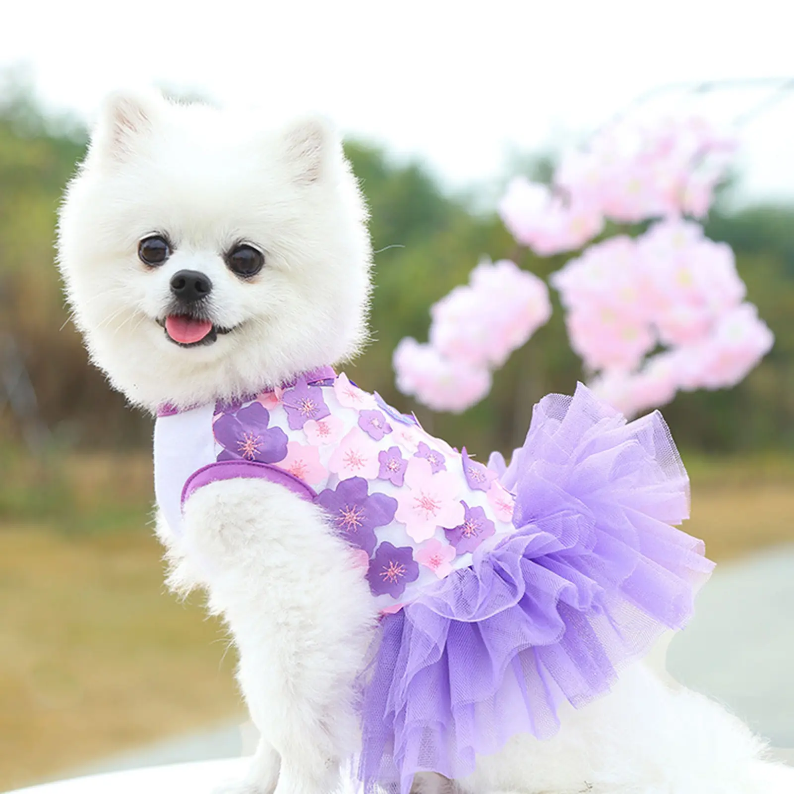 Pakaian Puteri Anjing Percetakan Bunga Berbilang Lapisan Benang Jaring Kapas Leher Bulat Skirt Perkahwinan Teddy untuk Musim Panas