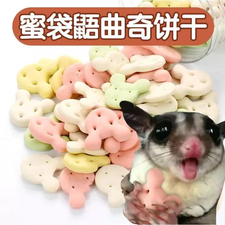 Sugar Glider Cookies /Sugar Glider Biscuit