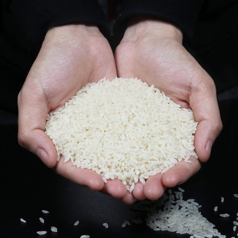 Mr Squirrel Dry / Dried Shirataki Rice 500g 1kg No-cook 0 Fat Portable ...