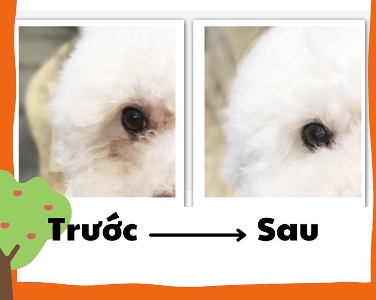 Khăn lau vết ố mắt/ Khăn lau vệ sinh tai chó mèo SOS dịu nhẹ 100 miếng 1