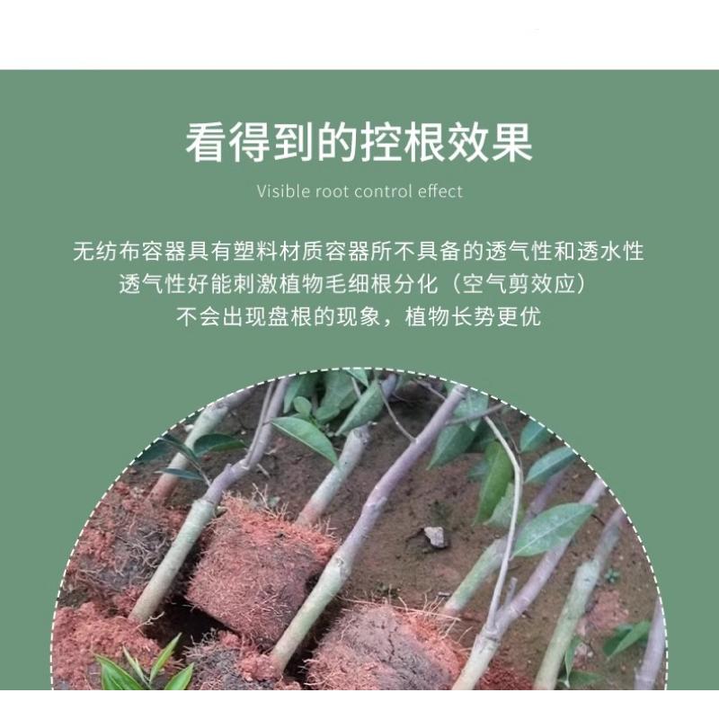 Product Introduction of Non-woven Planting Bag, Thickened Sapling Nutritious Pot For Raising Saplings, Flowers And Vegetables, Large Cloth Flower 33