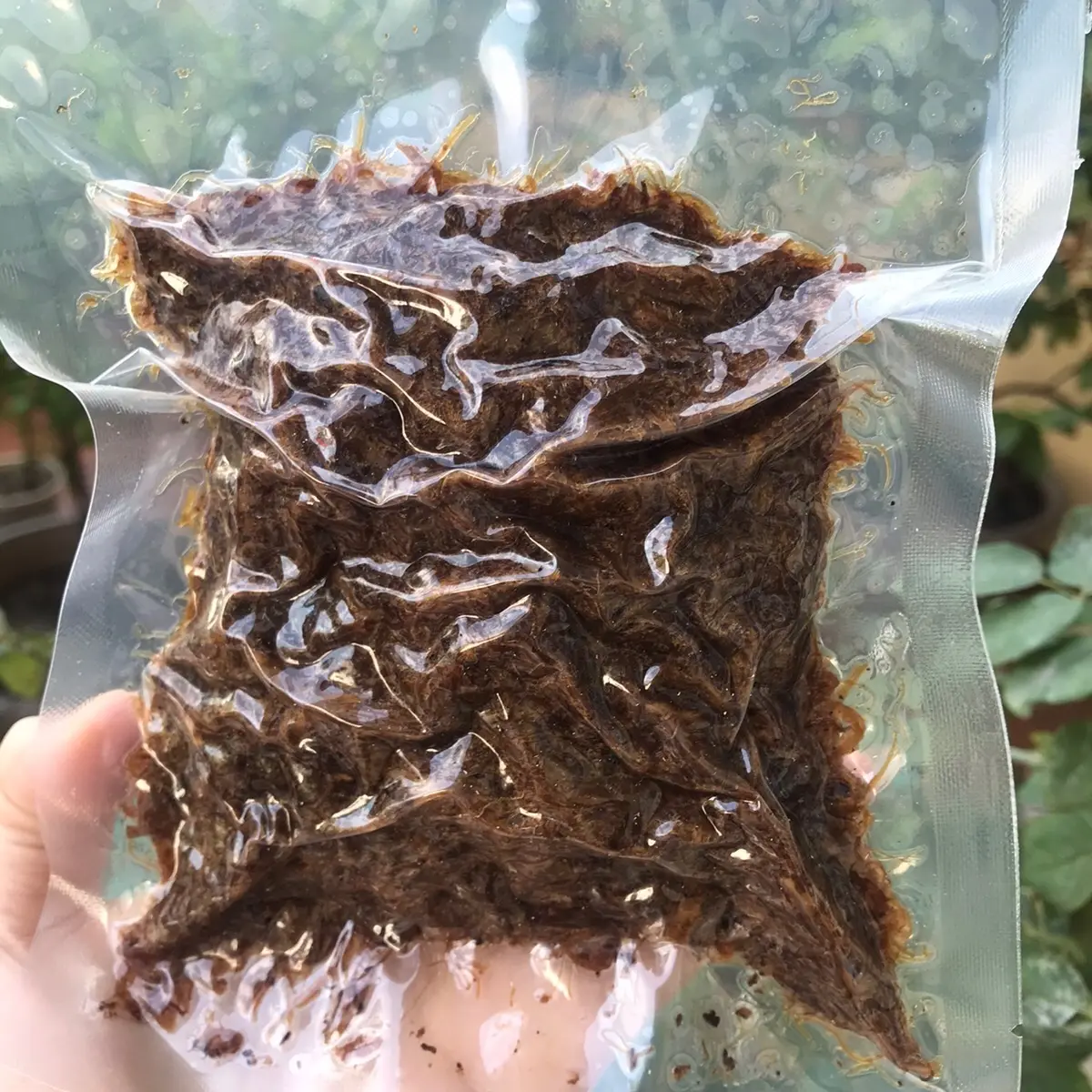 Ruốc nấm hương Hữu cơ Phú Gia