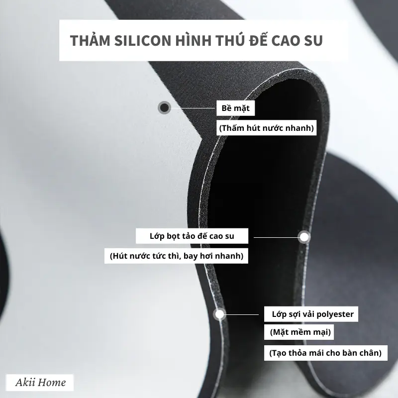 Thảm lau chân silicon 5D thấm hút nước, mặt đế cao su chống trơn trượt 40x60cm Akii Home T25 5