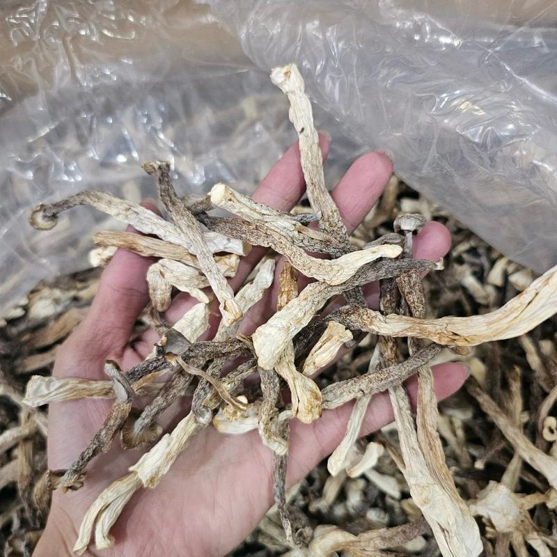 200g Nấm lộc nhung khô không gãy vụn
