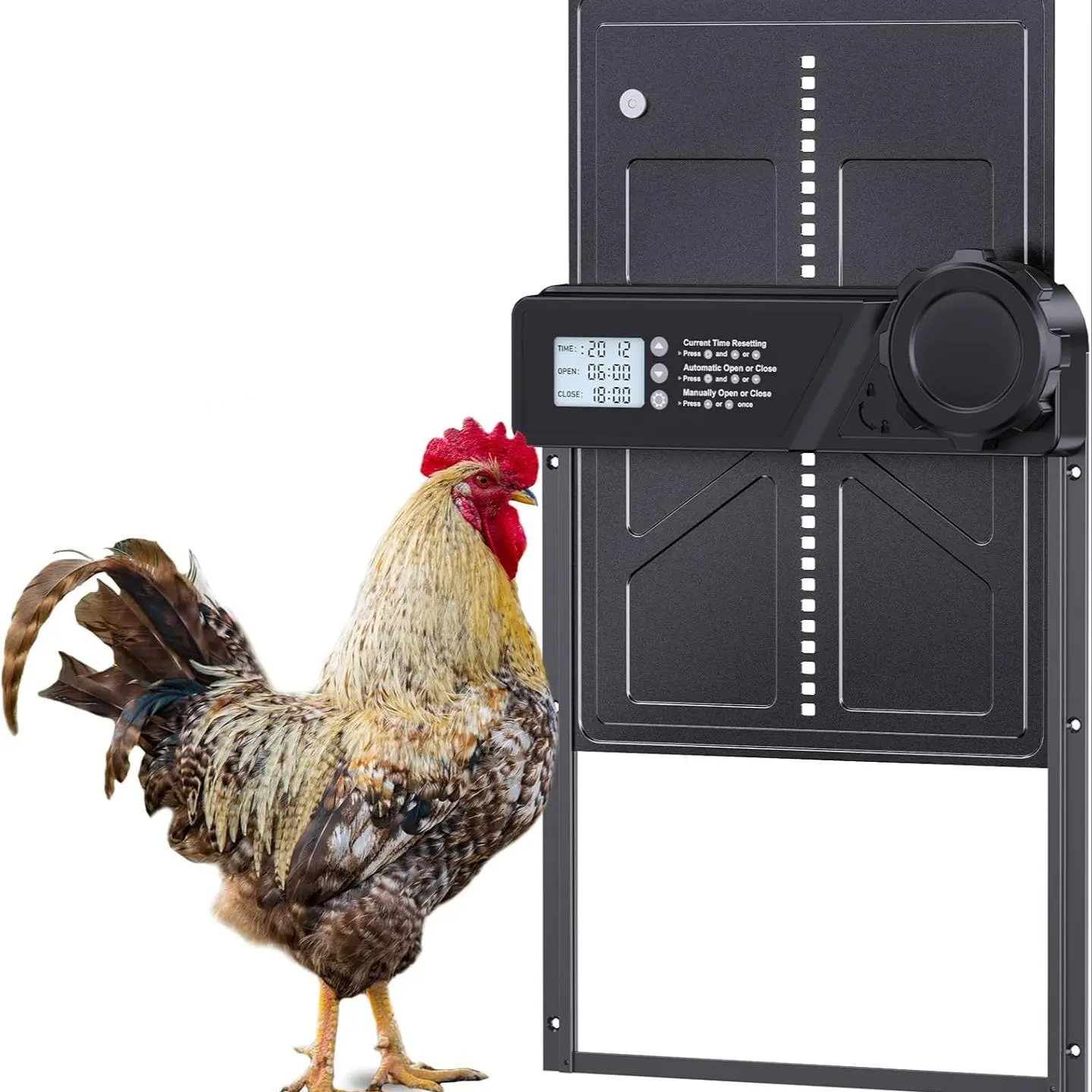 Automatic Chicken Coop Door, Pet Door Powered by AA Batteries, Large Automatic Chicken Coop Door with LCD Display Screen, Timing Setting Automatic Chicken Coop Door