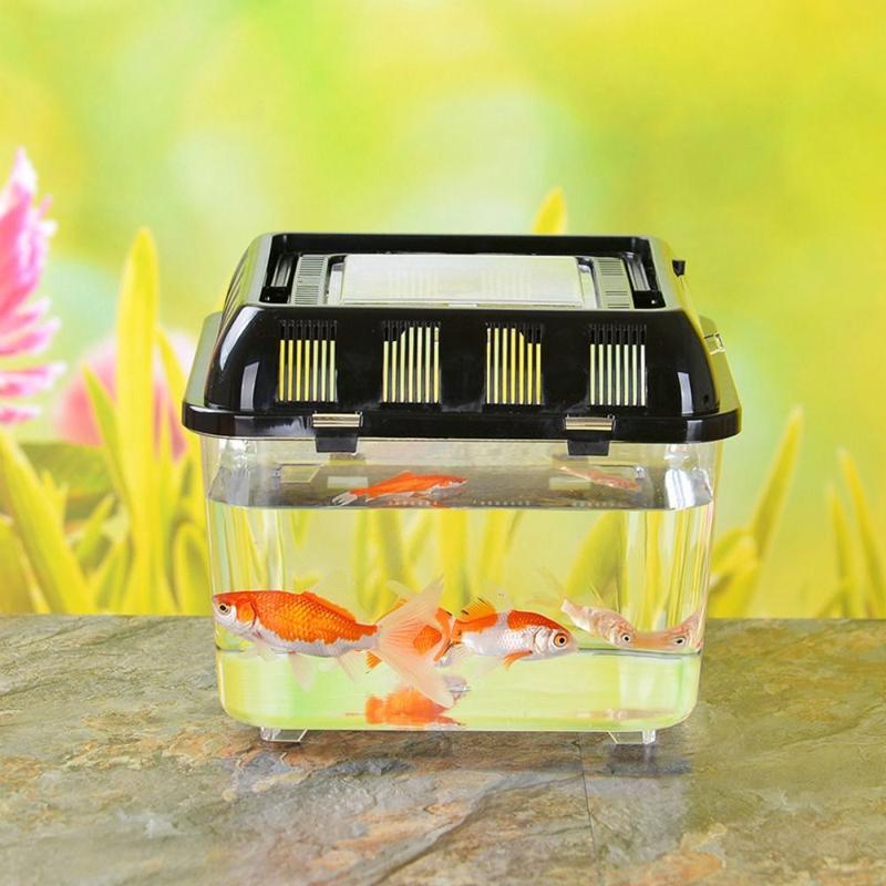 Picture of Turtle Tank Plastic Fish Bowl Removable Handheld Portable Fish - TikTok ...