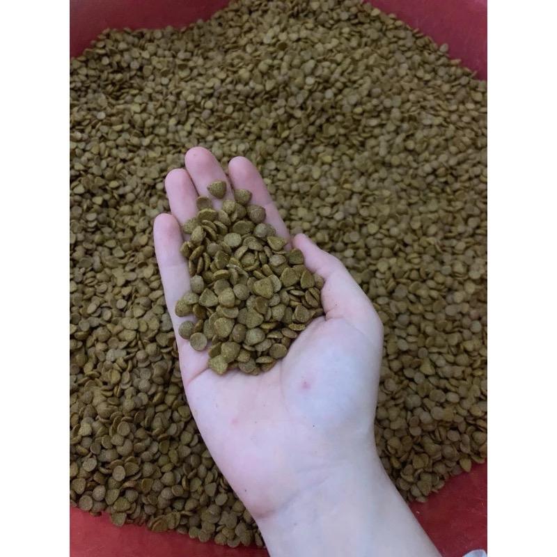 Hạt Healthy Cat cho mèo mọi lứa tuổi (5kg) 1