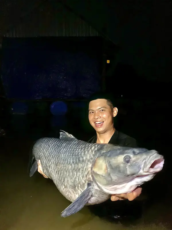 [LK HÒA] THÍNH CÂU CÁ LK HOÀ (CHUYÊN CÂU ĐÀI- LĂNG XÊ- LỤC) Fishing Bắt Cá Đi Câu Nam 4