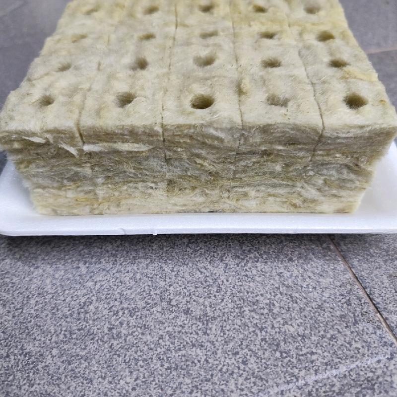 Giá thể rockwool ươm cây 5 vỉ/ 200 viên (25*25*50) 2