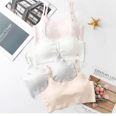 Miniset/Bra Remaja/Pakaian Dalam ABG Impor Seamless #2 Ukuran M-L Bh Bra 2