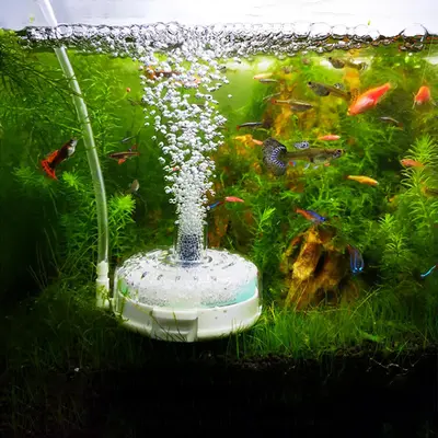 Selected Filter for Goldfish Tank TikTok Shop