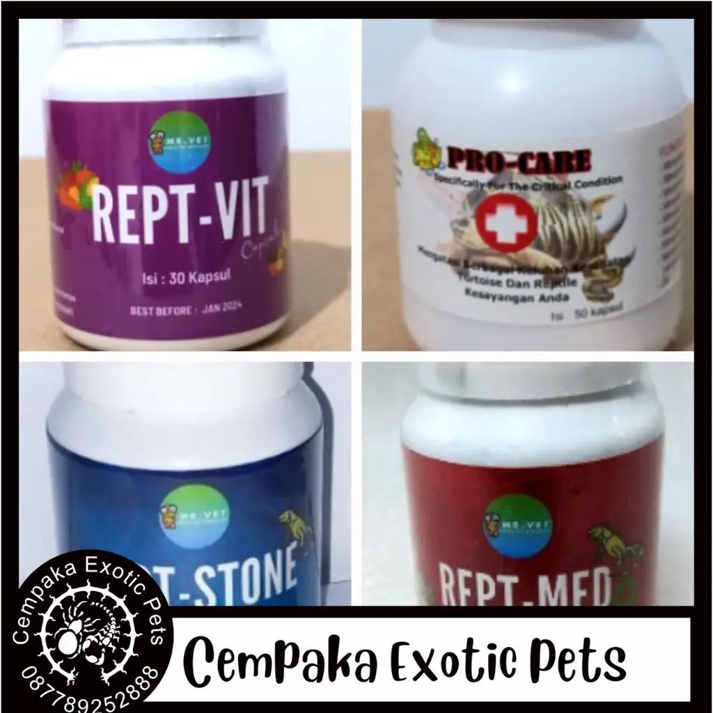 Rept Vit - Rept Stone - Rept Med - Jkk Pro Care Obat kura Pilek Lemas Bladder Stone Vitamin