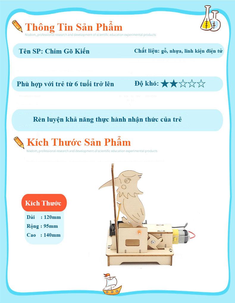 Product Introduction of Bộ Đồ Chơi Lắp Ghép STEM Mô Hình Chim Gõ Kiến, Bộ Đồ Chơi Khoa Học Tự Làm Chim Gõ Kiến, Bộ Đồ Chơi Gỗ Cao Cấp Khoa Học Tự Làm DIY Wood Steam 22