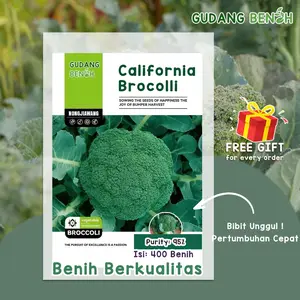 Bibit Tanaman Sayuran Brokoli California Isi 400 Benih Berkualitas