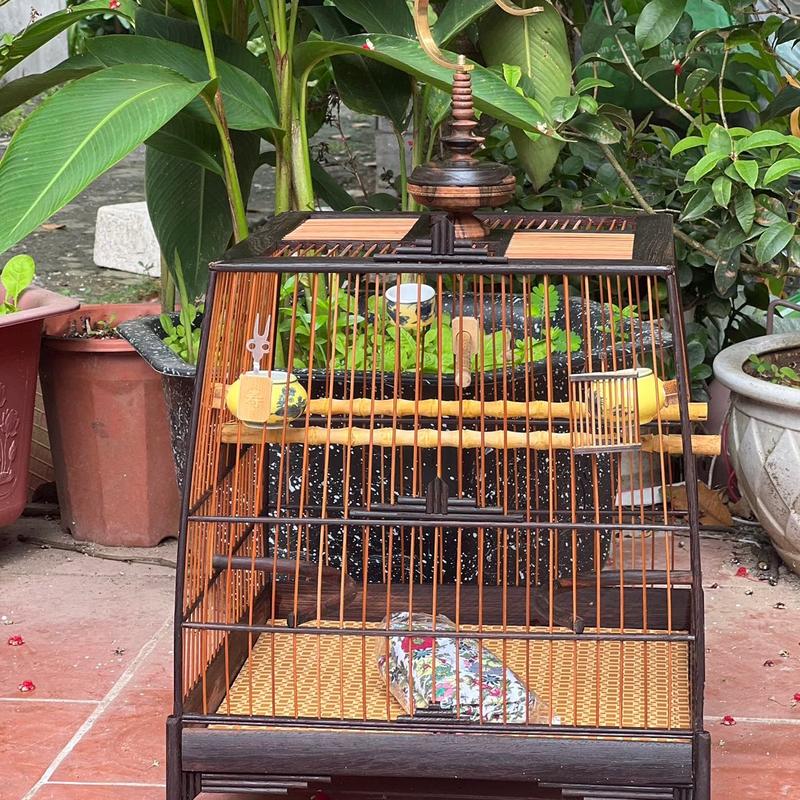 KHUNG LỒNG CHIM CHÀO MÀO CỘT TRÒN CHÂN MÁNG S.ÚNG SIÊU DẺ ĐẸP , DỄ RÁP