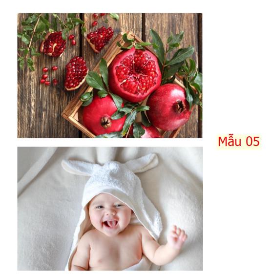 Product Introduction of Bộ 2 tranh dán tường Quả lựu và em bé GUD1482BB0010K KT 60 x 40 cm in pp kim sa nhiều mẫu 20