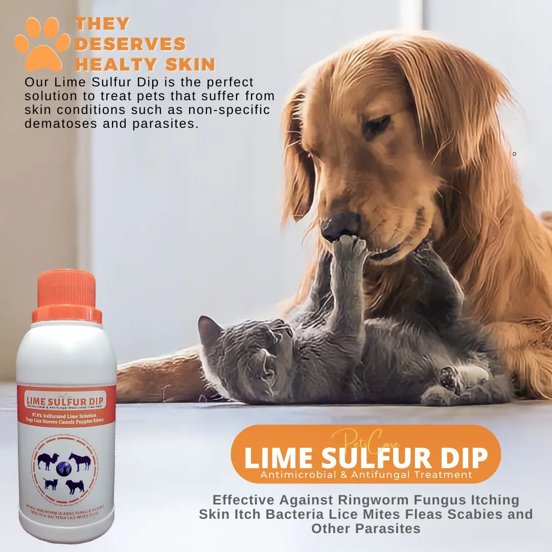 LIME SULFUR DIP Anti Jamur Anti Kutu Anti Parasit dan Scabies pada Kucing & Anjing