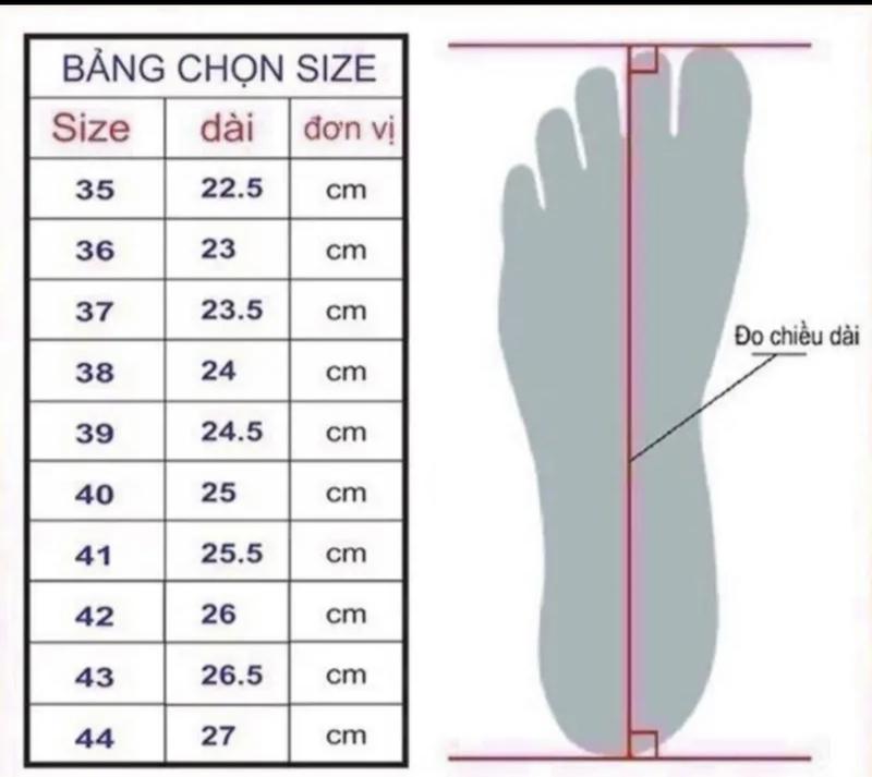 Product Introduction of TUYETKIEUSTORE Sục 3p đính đá điểm nhấn Nữ DéP Shoes Mũi nhọn Women GiàY 0