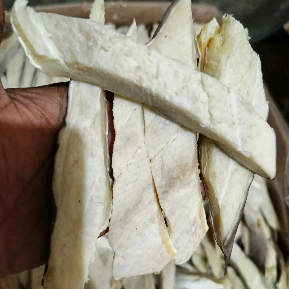 IKAN ASIN CUCUT KULIT KERING