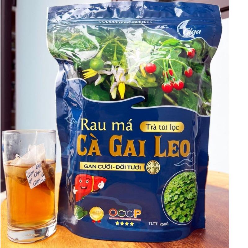 Trà Túi Lọc Rau Má Cà Gai Leo- Hỗ trợ thanh nhiệt, mát gan, bảo ...