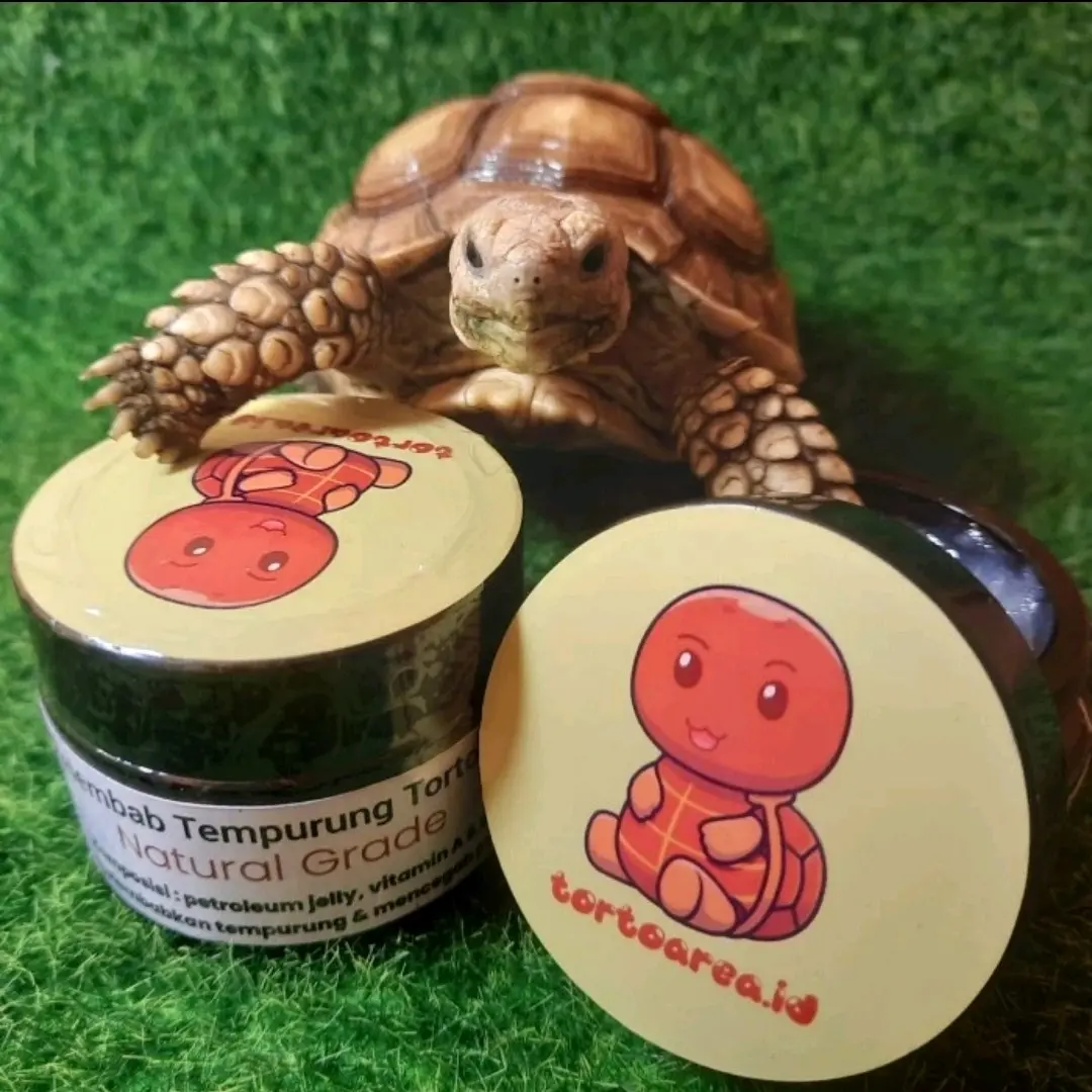 ToMo - Pelembab Tempurung Kura Darat Tortoise Wax - Melembabkan dan Mencegah Piramiding