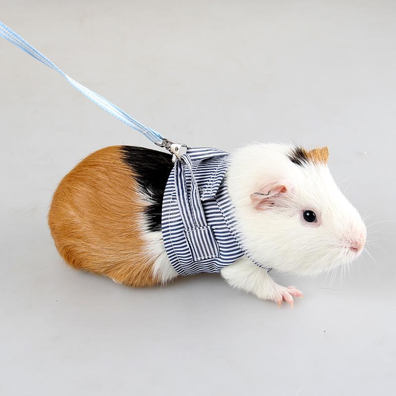 Product Introduction of S/L Small Pets Chest Strap Hamster Outdoor Traction Rope Adjustable Harness Leash Vest for Rabbit Hedgehog Chinchilla Guinea Pig 5